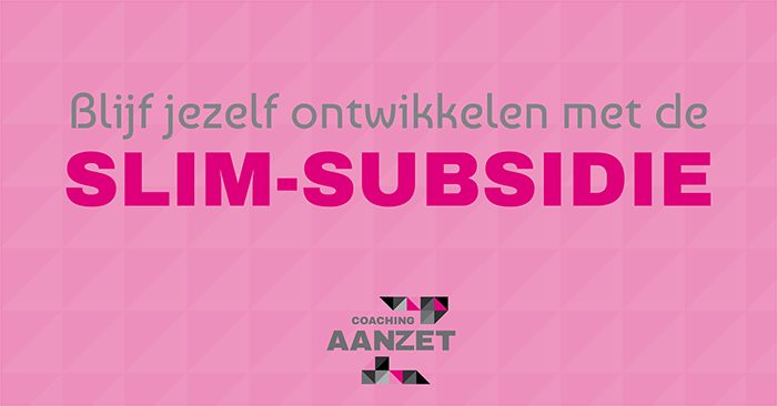SLIM subsidie