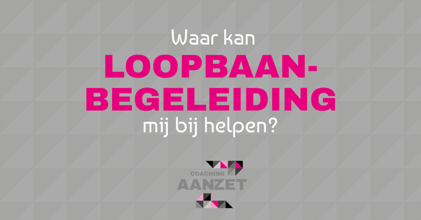 loopbaanbegeleiding